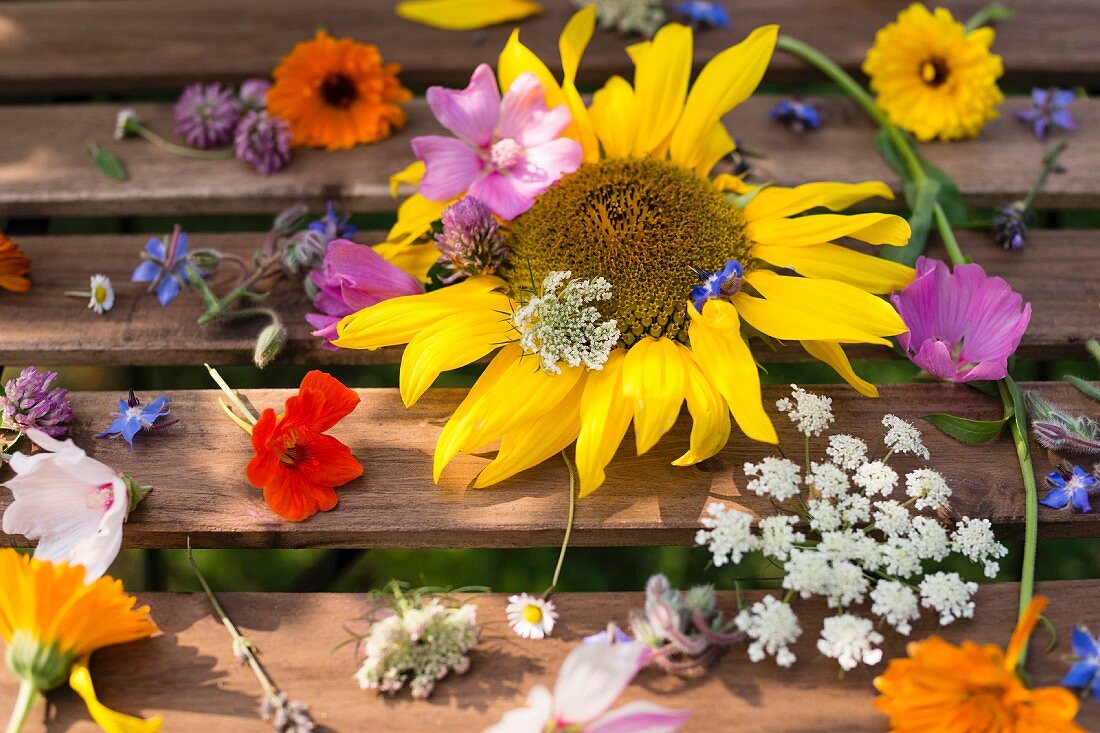 Various flowers on wooden boards