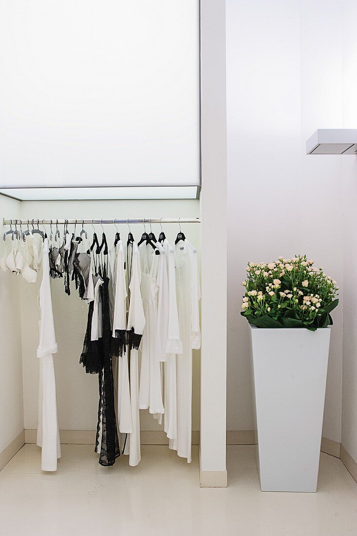 Weißer Raum mit Kleiderstange und hohem Blumentopf Pflanze