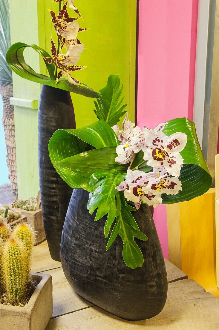 Ikebana arrangement of orchids in black vases