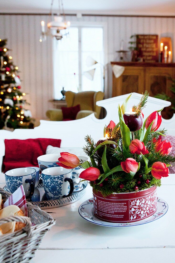 Advent arrangement of red tulips and fir branches in tin can