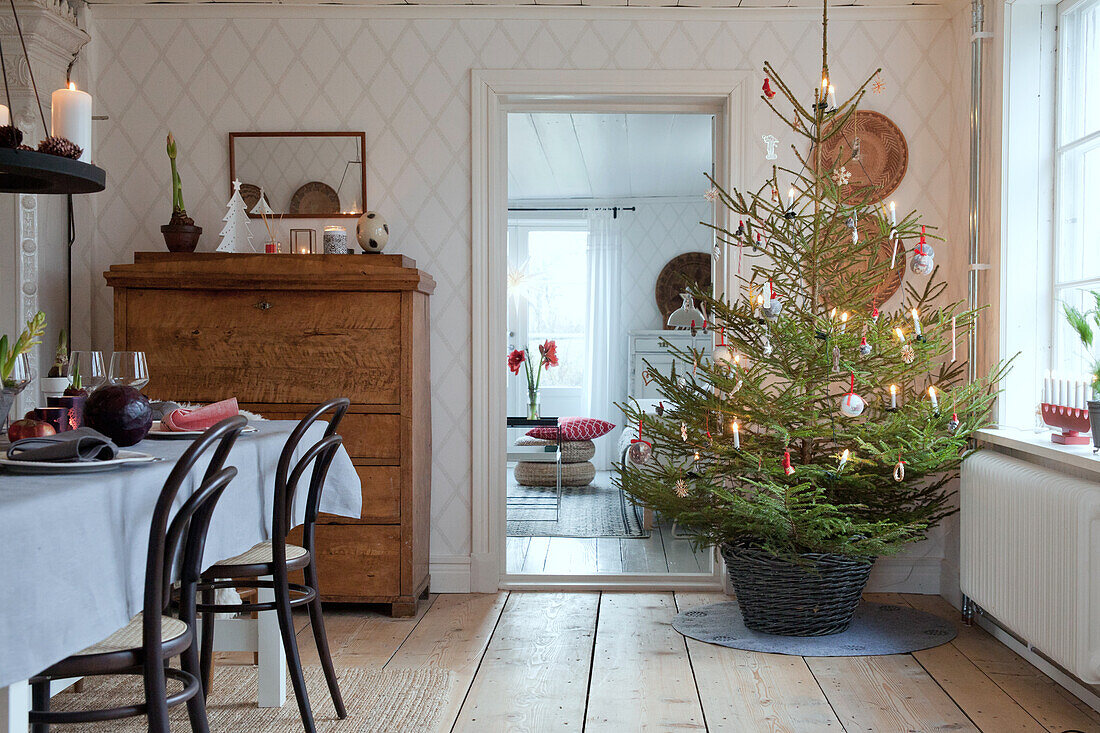 Christmas tree in rustic dining room