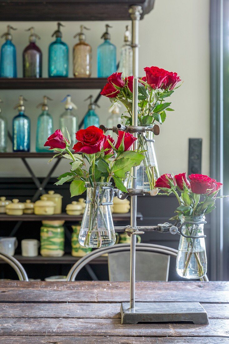 Rote Rosen in Kolbengläsern und Labor-Metallständer auf rustikalem Tisch