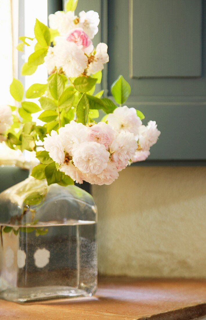 Sonne scheint durchs Fenster auf Rosenzweig in einer Glasflasche