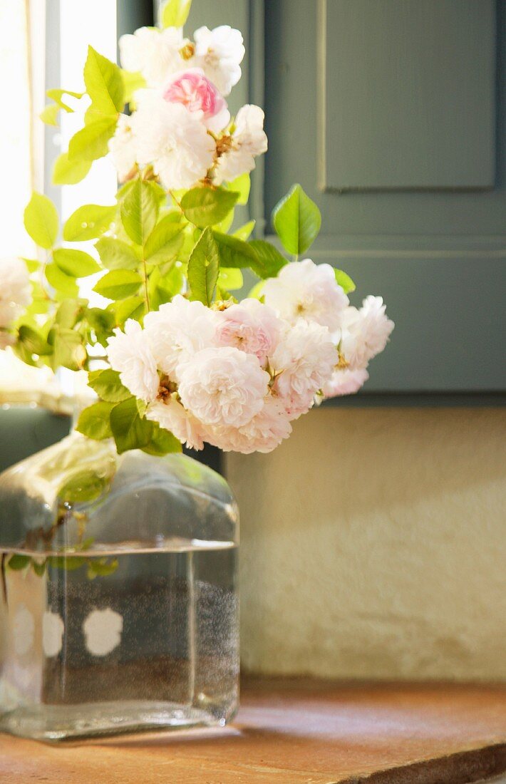 Sun shining through window onto roses in glass bottle