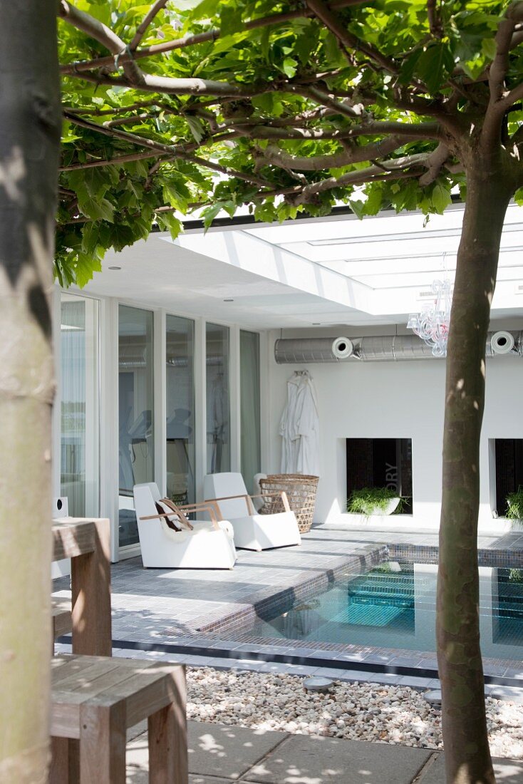 Easy chairs on terrace next to swimming pool below canopy of trees