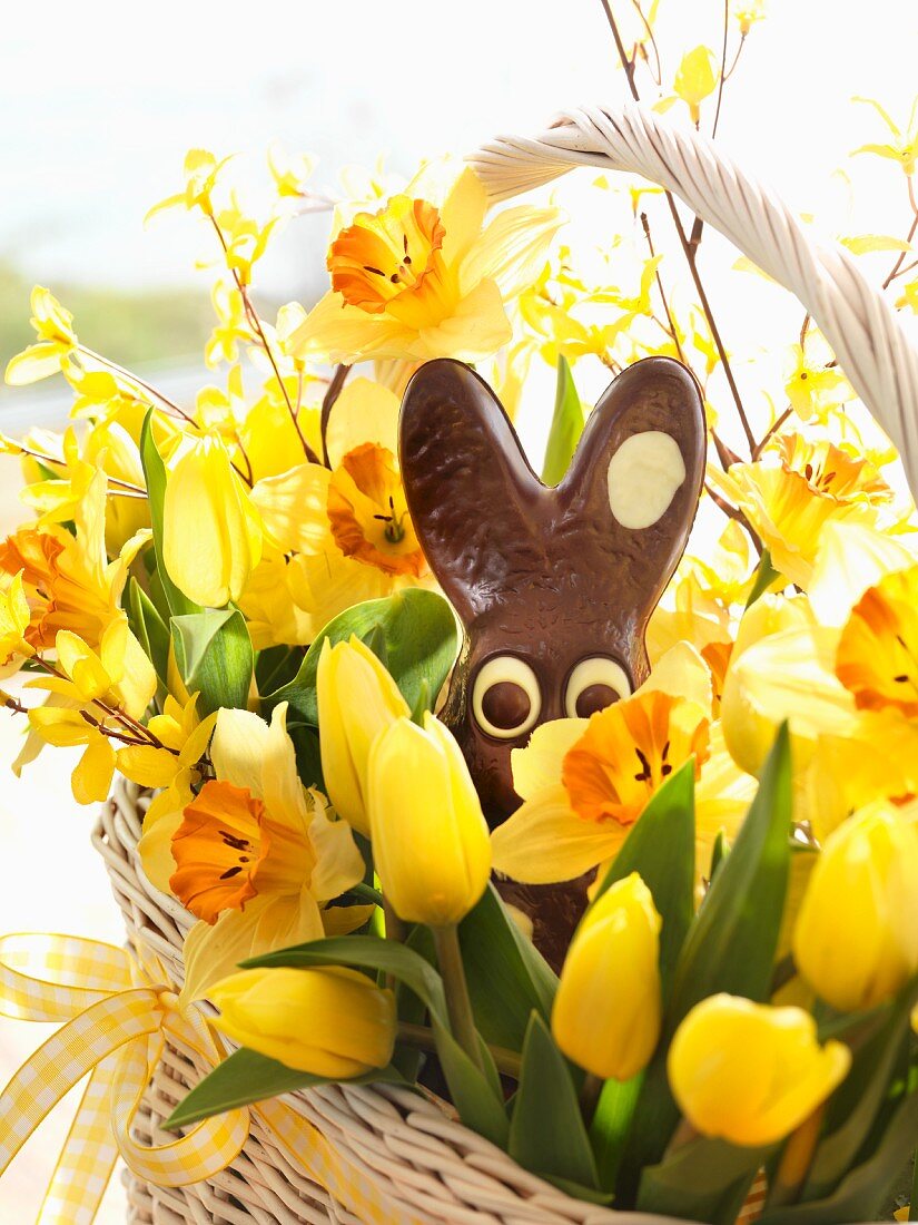 Gelbe Tulpen, Narzissen und Schokoladen-Osterhase in einem Korb