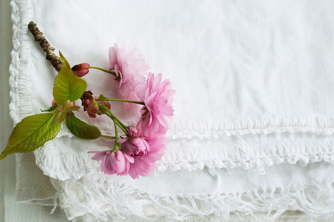 Rosafarbene Kirschblüten auf gefaltetem weißen Stoff