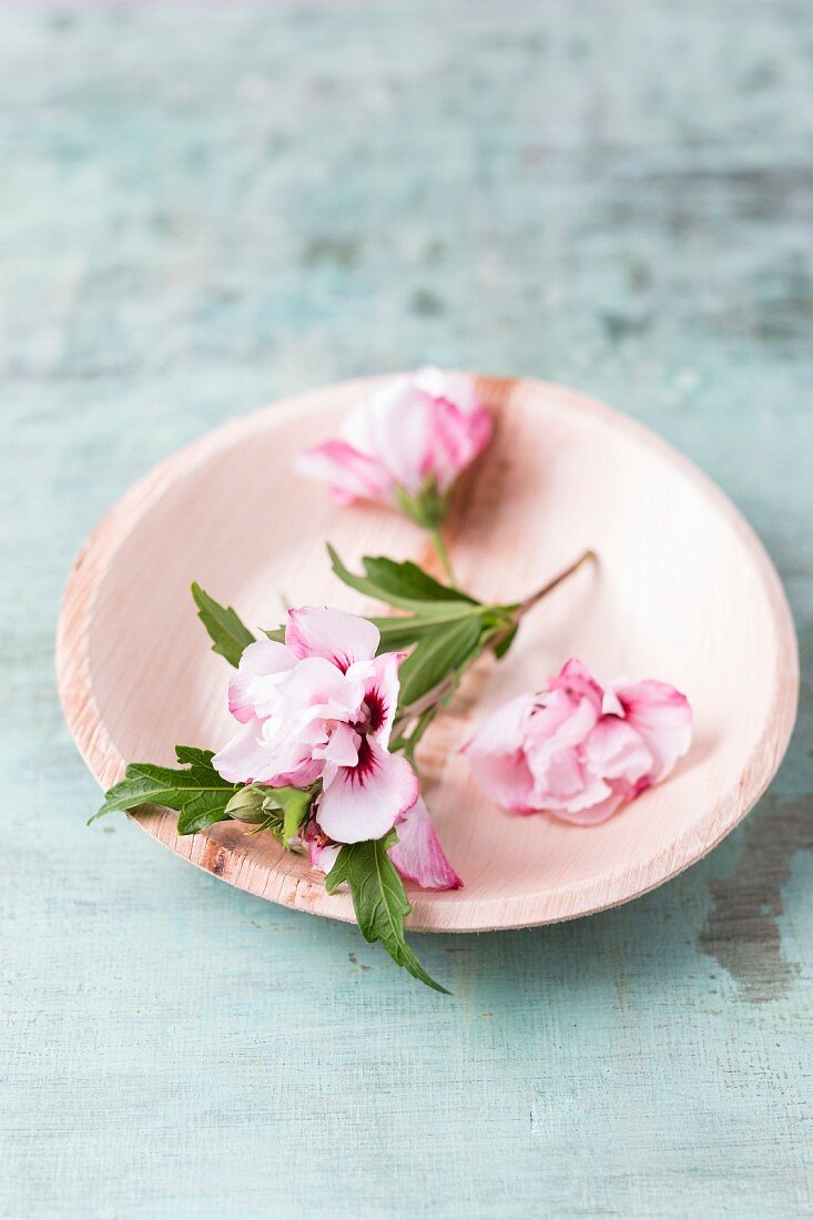 Edible pink hibiscus flowers on plate