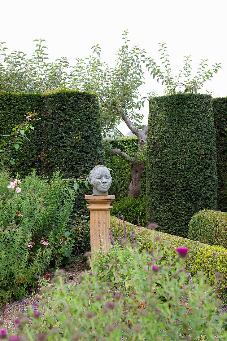 Michaelmas daisies, bust on plinth and clipped hedges in garden