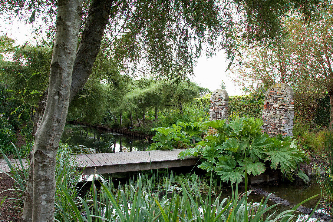 Holzbrücke über Bachlauf im Garten, im Vordergrund Rodgersia
