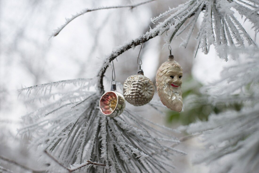 Nostalgischer Christbaumschmuck an einem Zweig mit Frost
