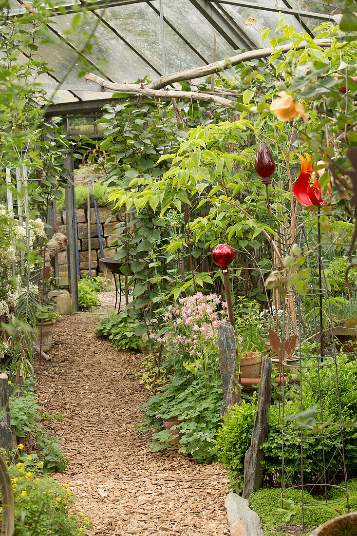 Mulched path leading through plants and decorative garden stakes in green house of old nursery