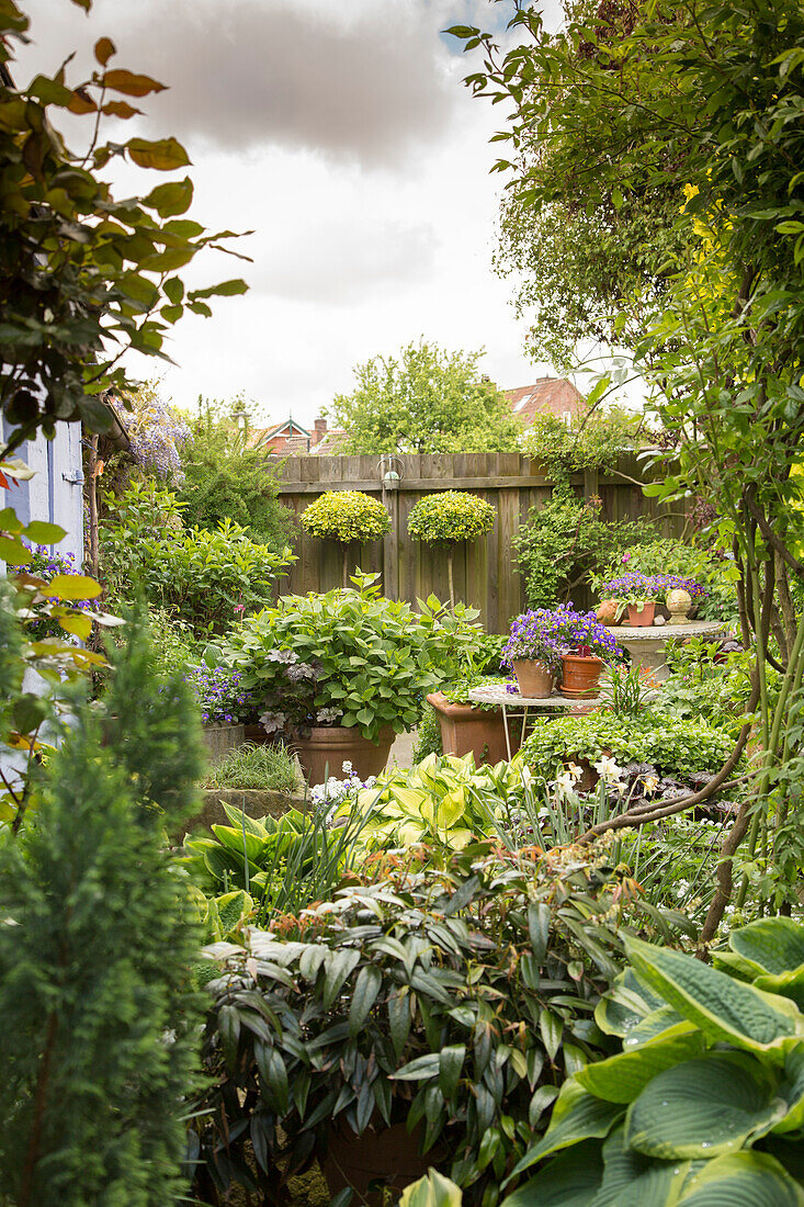 Topfgarten im Innenhof