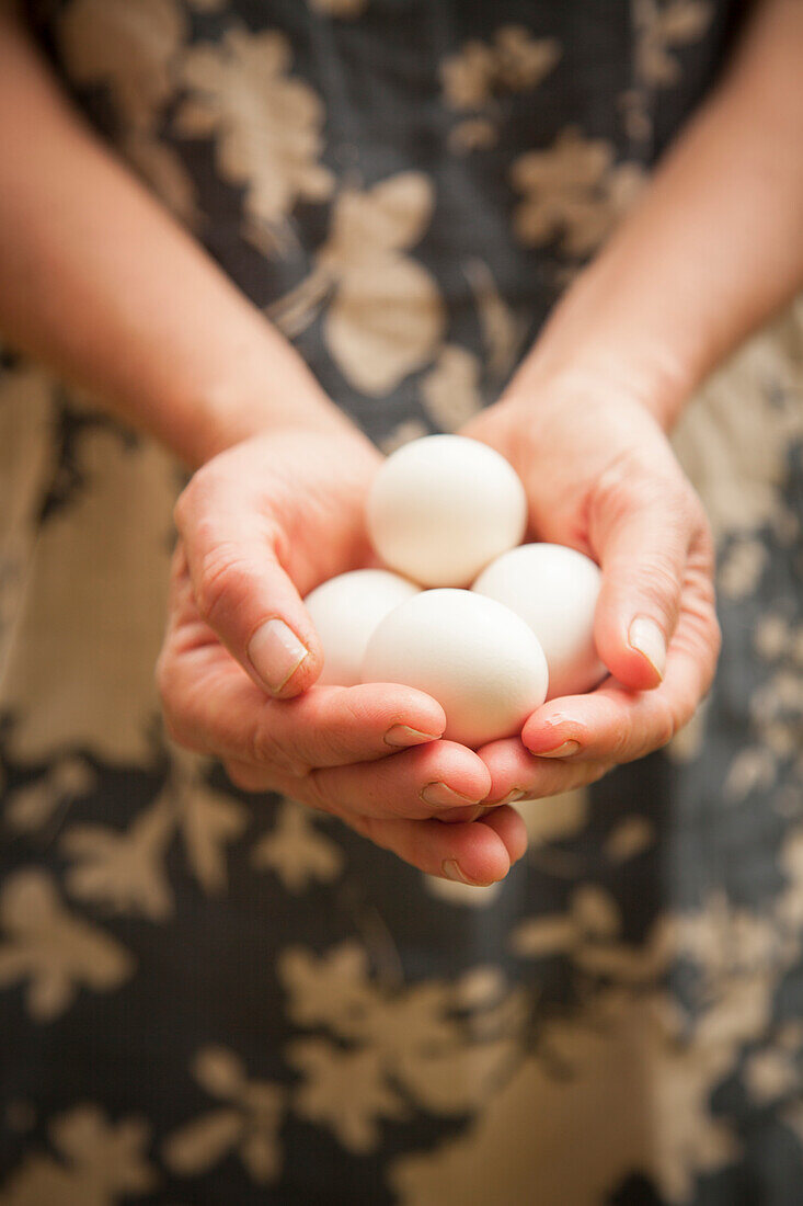 Hände halten frische weiße Eier