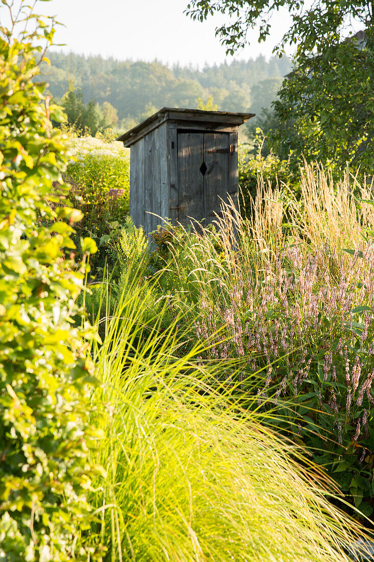 Rustic wooden outhouse amongst shrubs and grasses