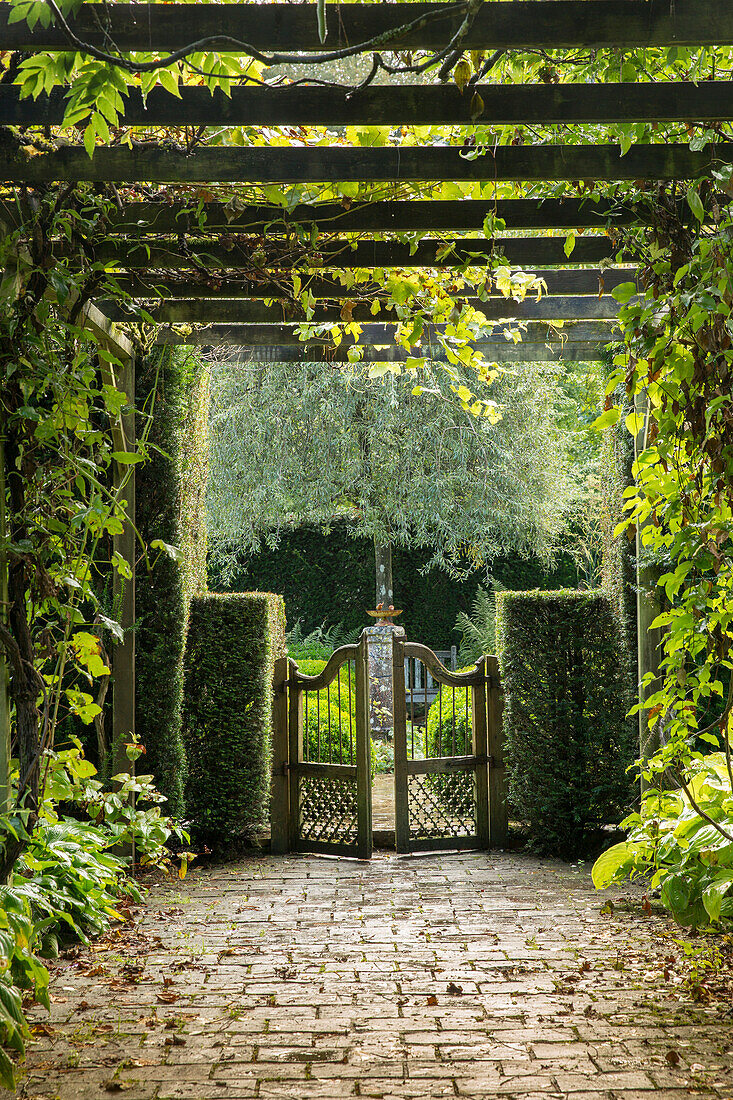 Path covered by pergola leading to garden gate (Les Jardin de Castillon, France)