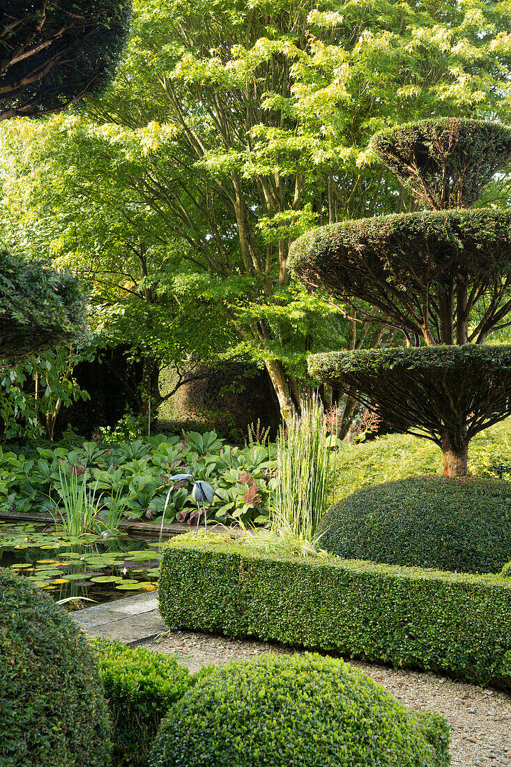 Formschnittgarten mit Teichanlage (Les Jardin de Castillon, Frankreich)