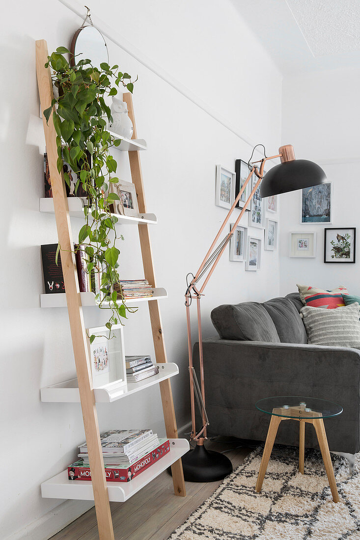 Leiterregal mit Zimmrpflanze und Büchern neben Stehlampe und Sofa im Wohnzimmer