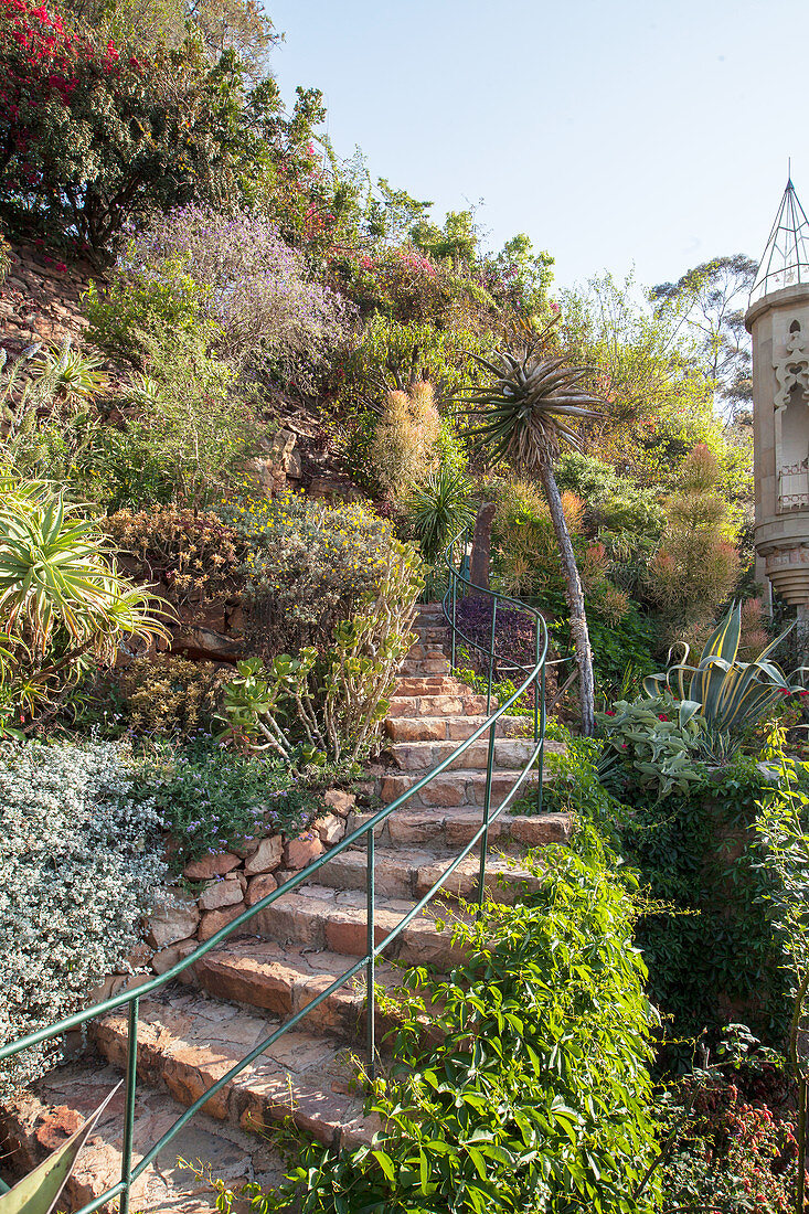 Climber-covered stone steps in terraced garden