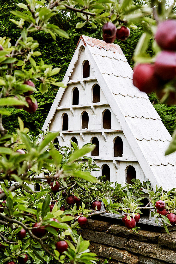 Großes Vogelhaus auf der Gartenmauer bei den Apfelbäumen