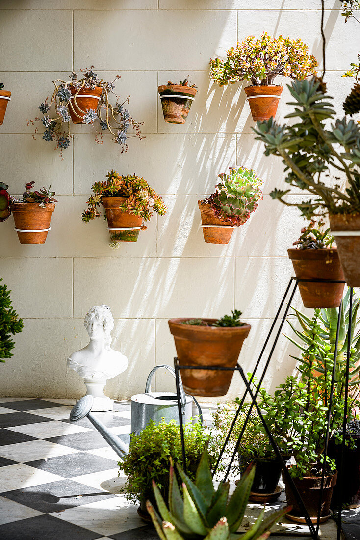 Various succulents in terracotta pots in wall-mounted brackets