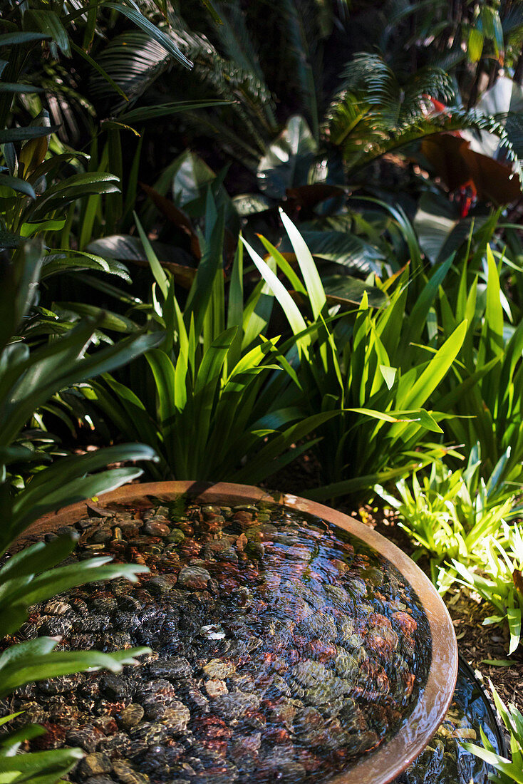 Water feature surrounded by plants