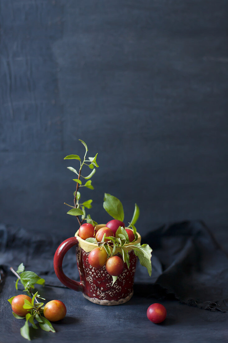 Obst mit Zweigen in einer roten Tasse vor dunkelblauem Hintergrund