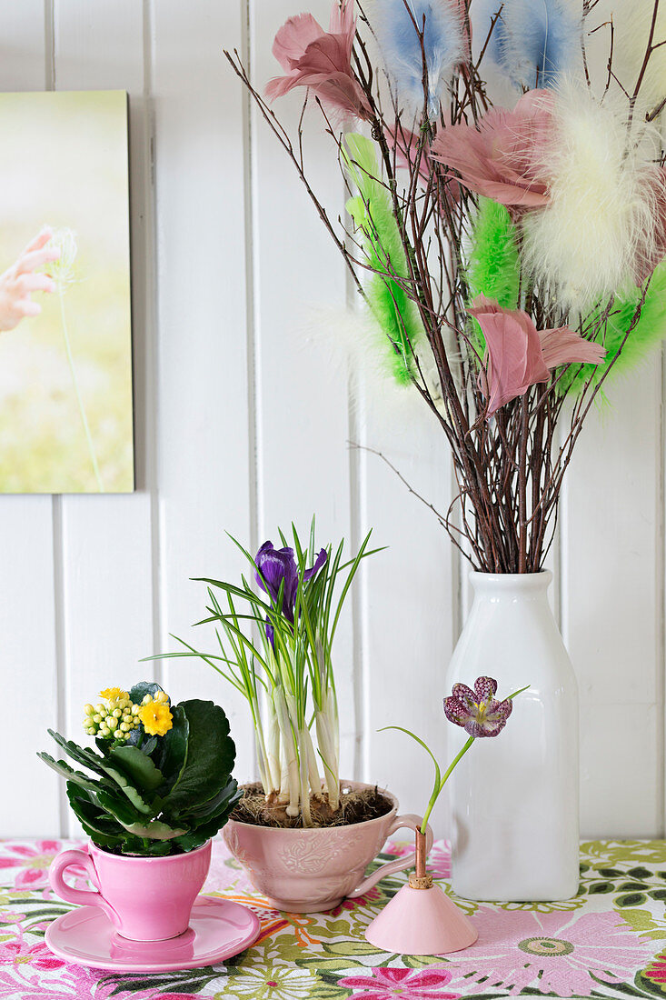 Kalanchoe und Krokus in Tassen und Palmkätzchen mit Federdeko in Vase