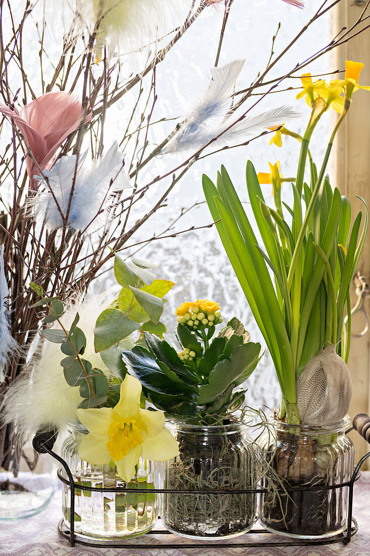 Palmkätzchen mit Federdeko in Vase, Narzissen und Kalanchoe in Einmachgläsern