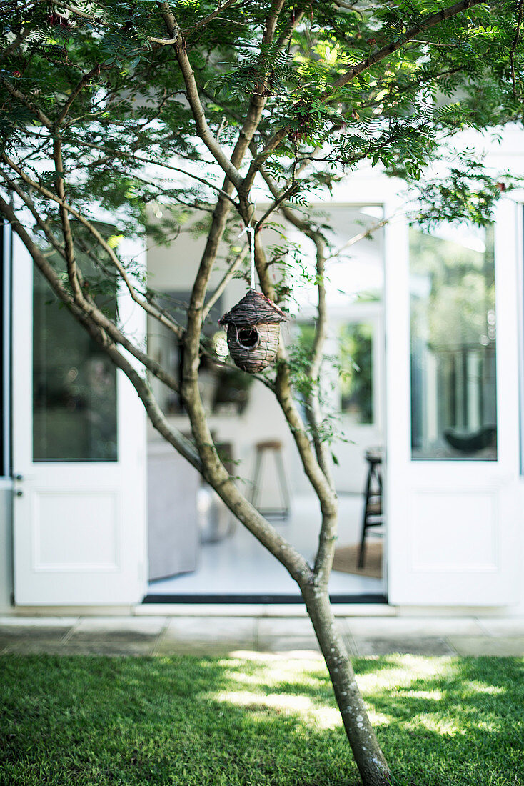 Baum mit Vogelhäuschen im Garten