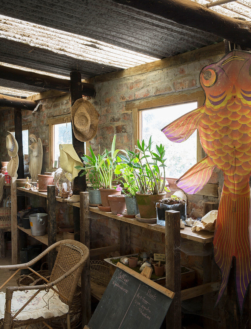 Regal mit Topfpflanzen und Fischmotiv im Vintage Gartenhaus
