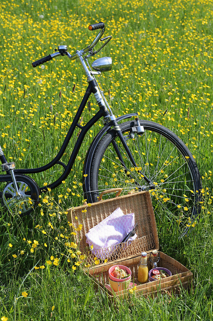 Fahrrad und offener Picknickkorb in der Blumenwiese