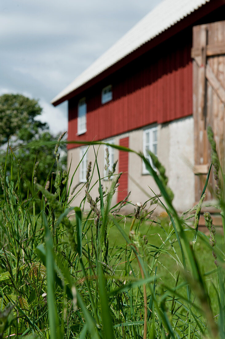 Grass in front of farmhouse with red wooden façade