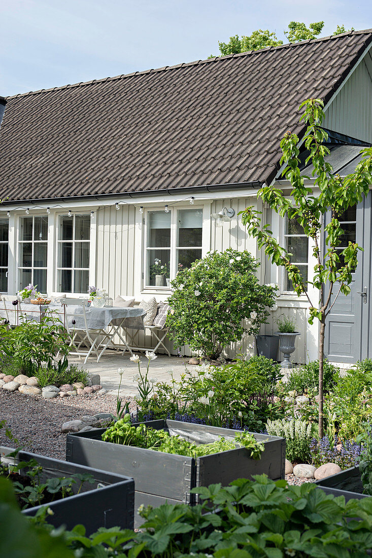 Hochbeete im sommerlichen Garten eines weißen Schwedenhauses