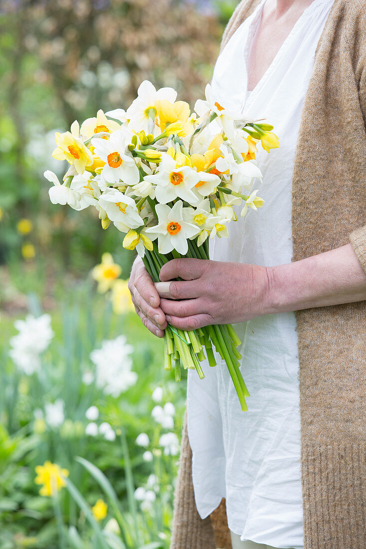 Woman holding bunch of narcissus