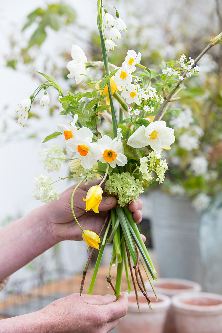 Tying a bouquet of narcissus