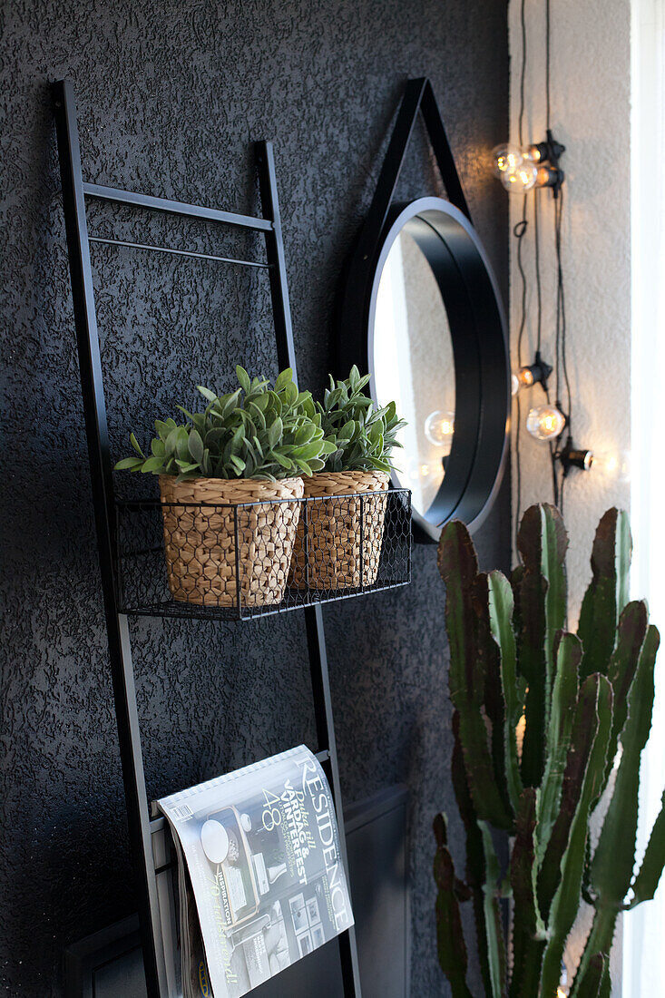 Potted plants and magazine on ladder shelves, round mirror and cactus against black wall