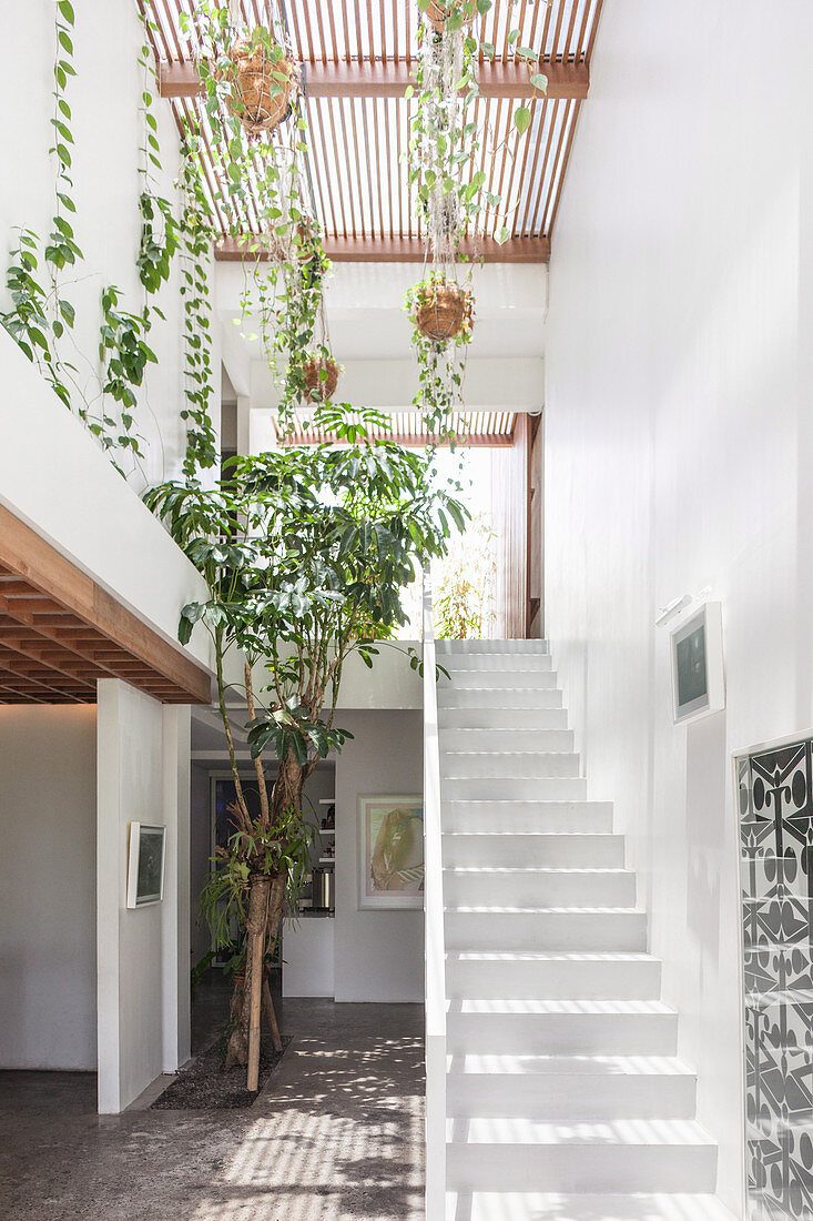 Weißes Treppenhaus mit Topfpflanzen und Bäumchen