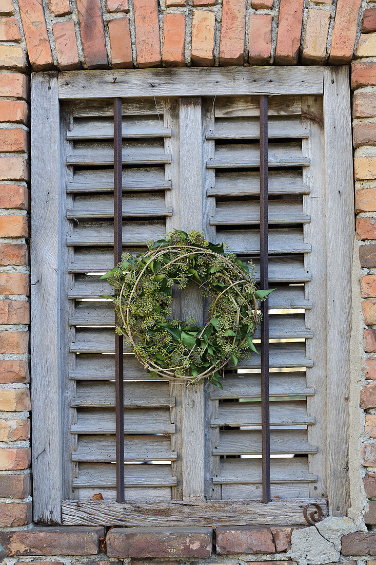 Wreath of ivy leaves and ivy flowers on old shutters