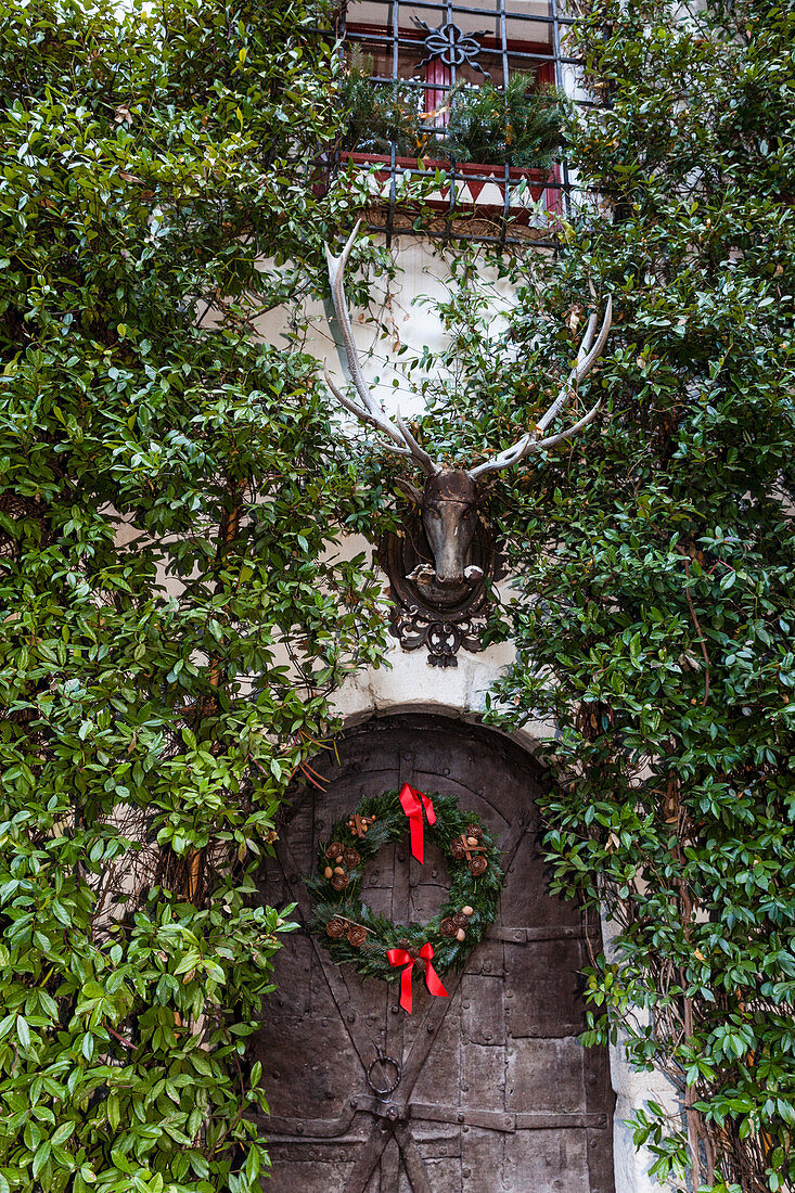 Lushly overgrown exterior wall decorated with antlers and wreath on door