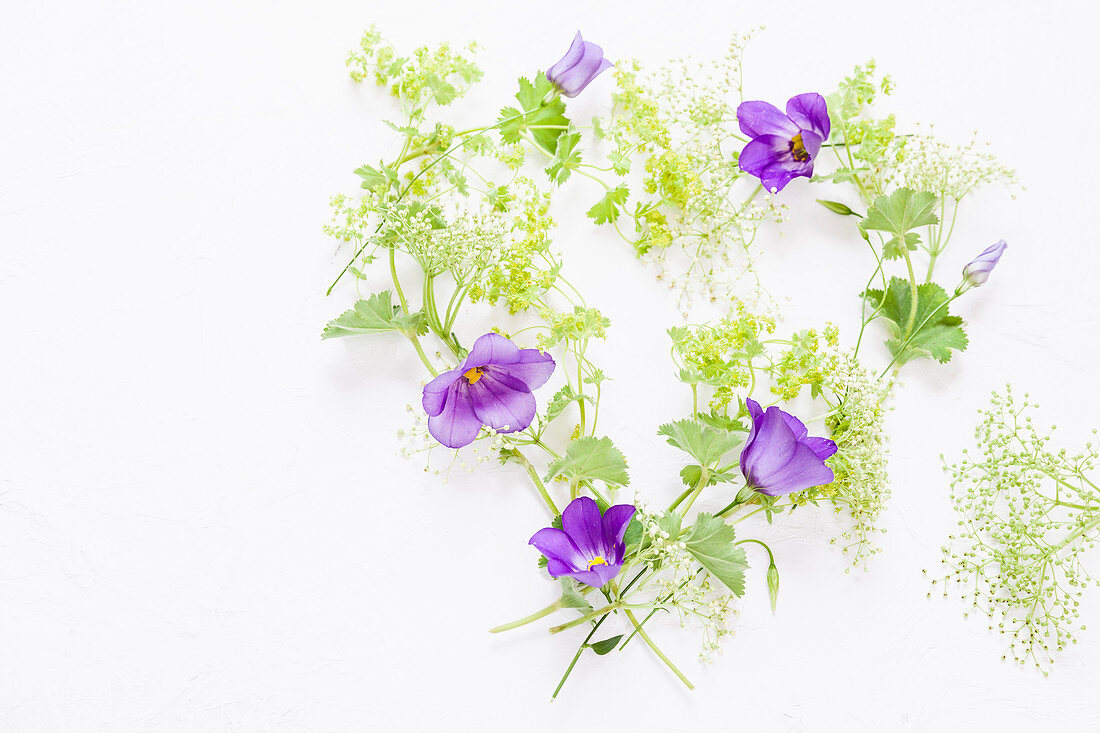 Campanula and lady's mantle arranged in a love-heart