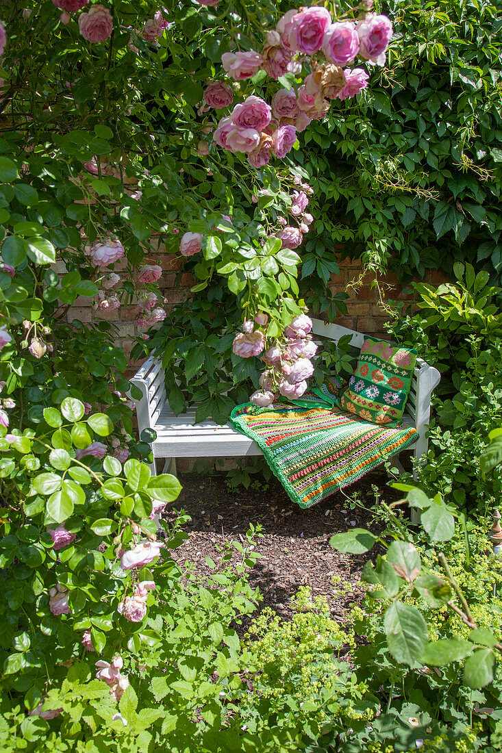 Garden bench and roses in romantic seating area