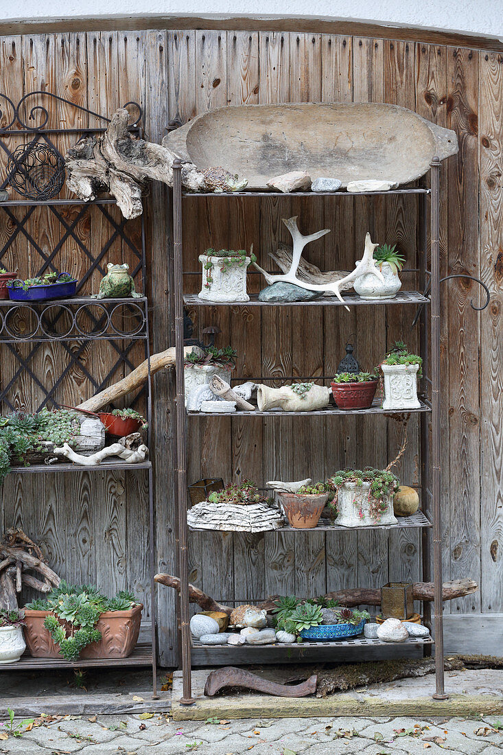 Potted plants and finds on vintage metal shelves