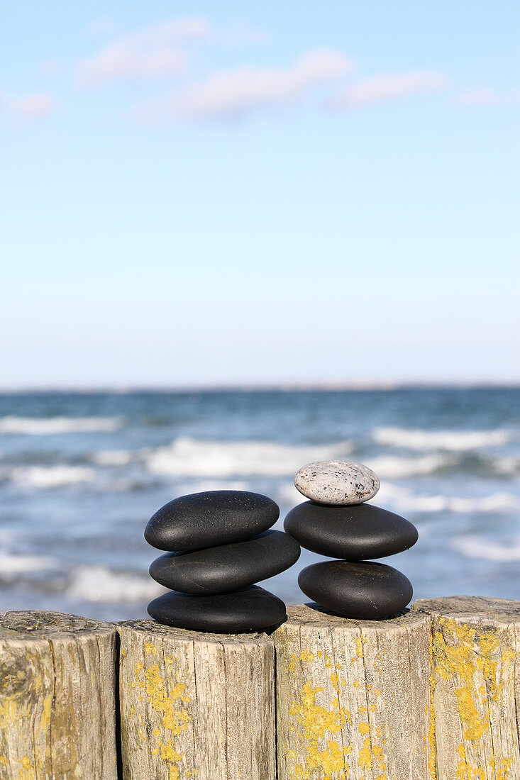 Schwarze Steine und ein heller Stein auf Holzpfahlen am Meer