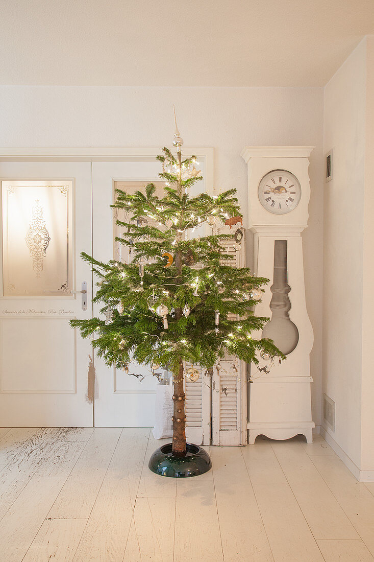 Weihnachtsbaum mit kahlem Stamm im weißen Wohnzimmer