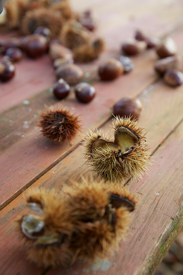 Edible chestnuts on a wooden table