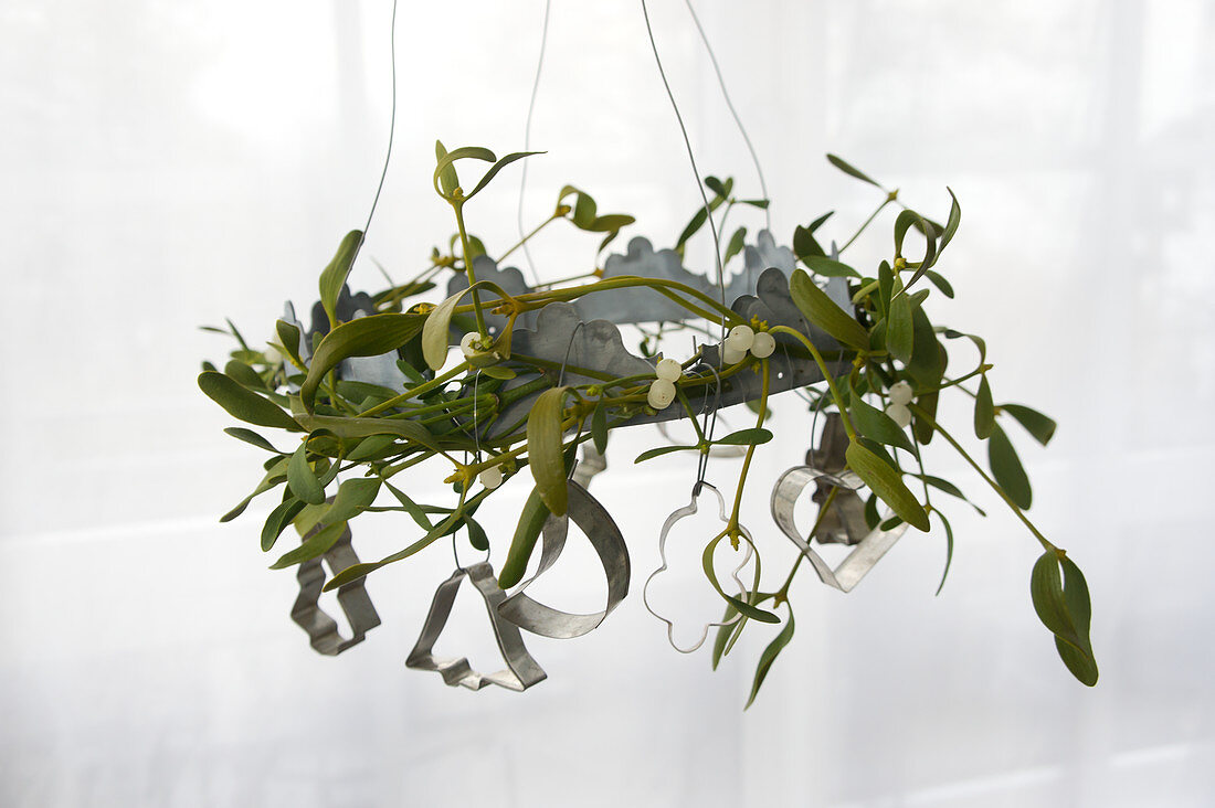 Wreath of mistletoe decorated with pastry cutters