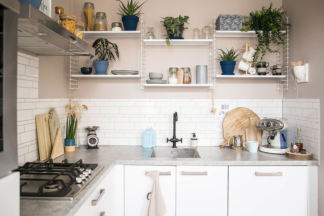 Utensils and houseplants on shelves on beige wall of L-shaped fitted kitchen