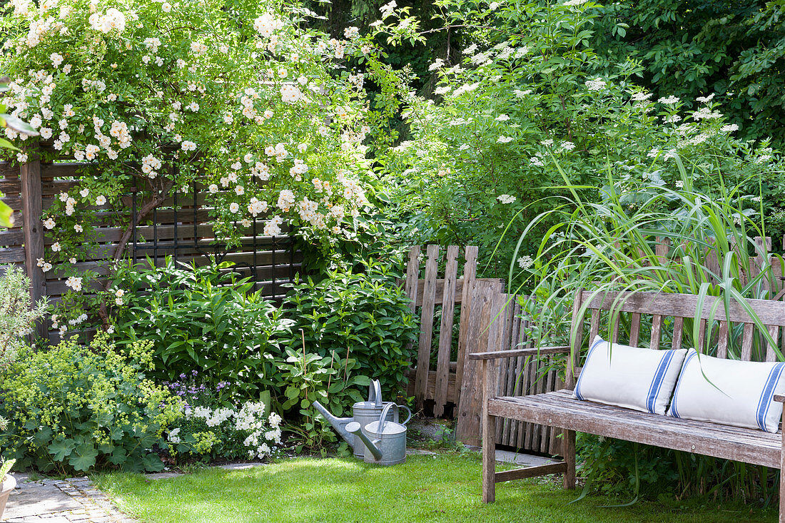 Gartenbank mit Kissen im idyllischen Sommergarten