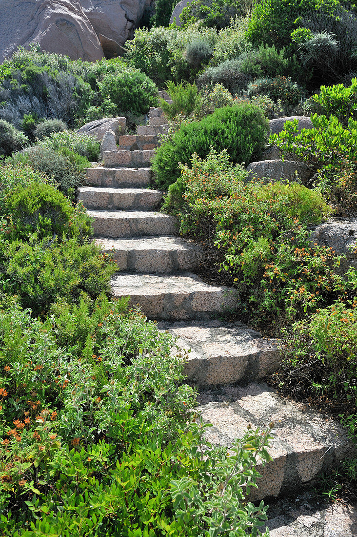 Natursteinstufen im Garten, umgeben von Pflanzen und zwischen Granitfelsen